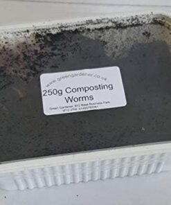 Alternative view of Green Gardener Wormery/Composting Worms (250)  Amazon.co.uk Garden