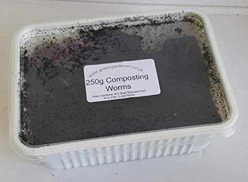 Green Gardener Wormery/Composting Worms (250) Amazon.co.uk Garden - Image 2